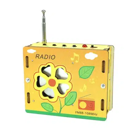 mini radio