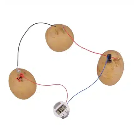 Potato power fruit battery clock