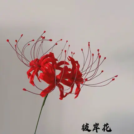 Red Spider Lily