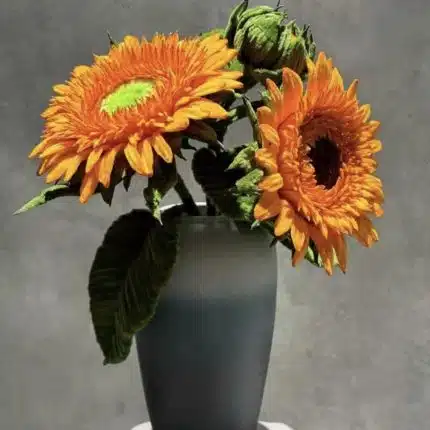 Sunflower and Sunflower Bouquet
