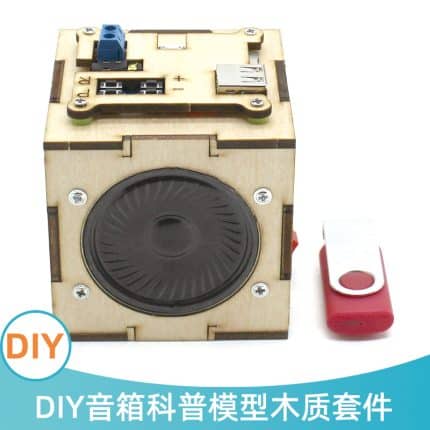 DIY Wooden Speaker Model
