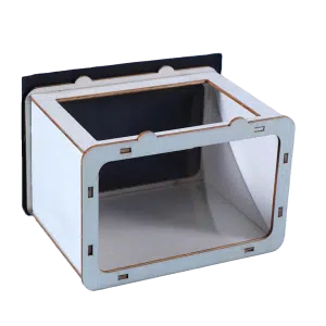 Holographic cinema TV projector
